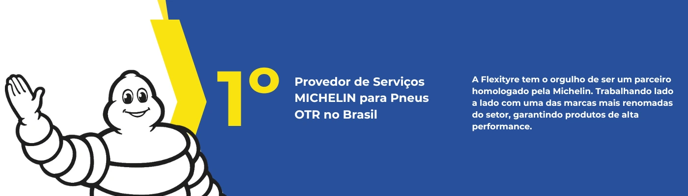 Distribuidor Homologado Michelin