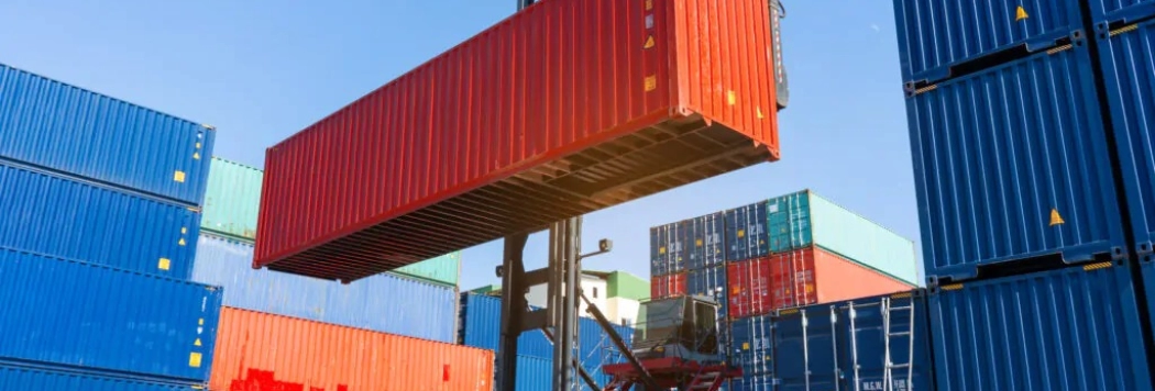 Pneu Michelin X-Terminal T